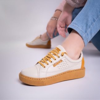 Canvas Trainer